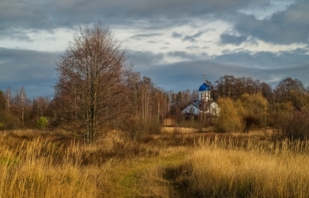 Осень не сдаётся 14 - Андрей Дворников Осень не сдаётся 14 - Андрей Дворников