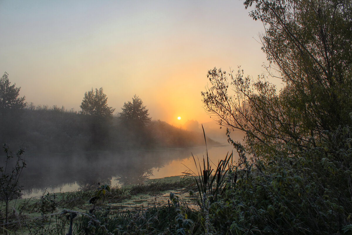 Утро на Дону. - Александр 