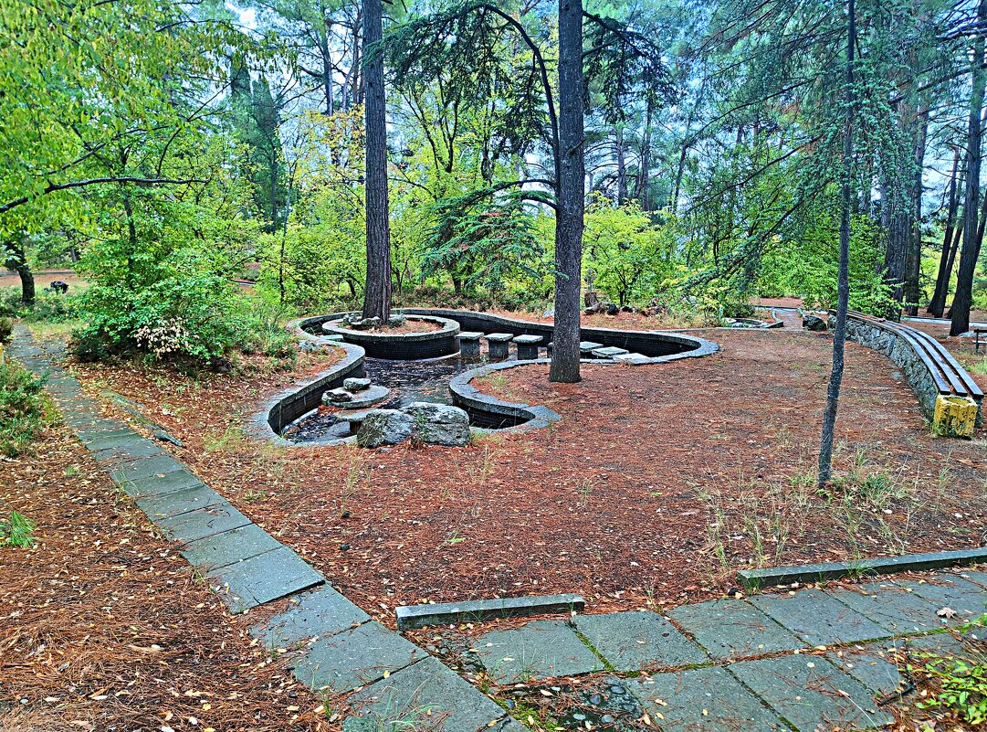 В парке санатория "Горный". - Виктор Мухин