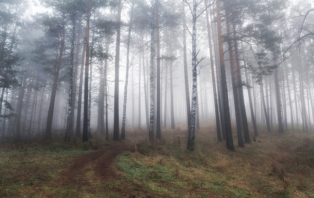 Осенний туман - Марина Фомина.
