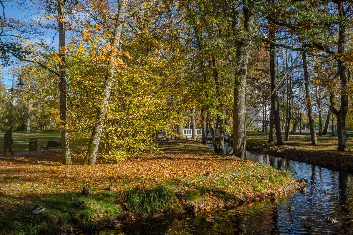 *** - Геннадий Порохов