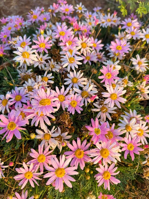 Ноябрь - Александр Деревяшкин