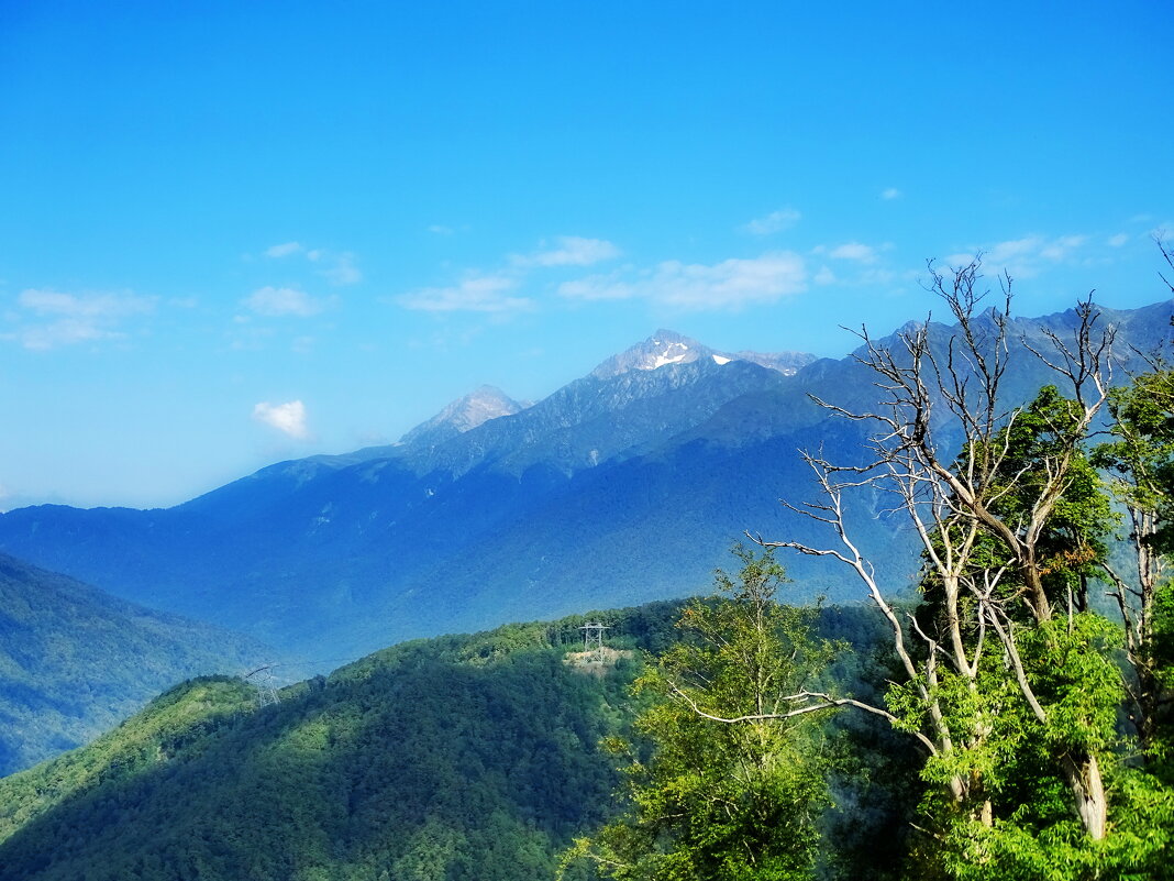 Роза Хутор - Павел Трунцев