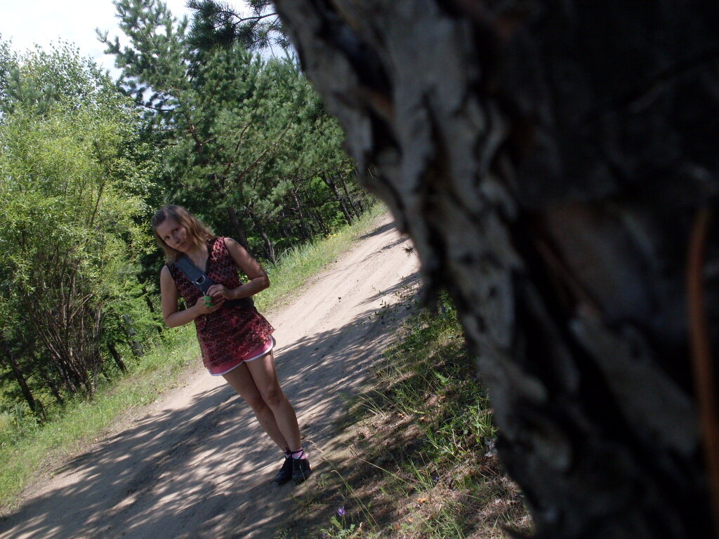 Прогулка в лесу - Екатерина Панова