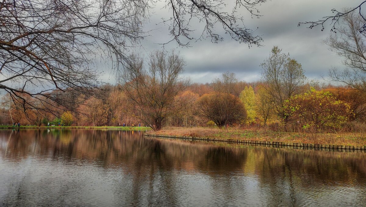 Ноябрь на Терлецких прудах - Наталья Лакомова Ноябрь на Терлецких прудах - Наталья Лакомова