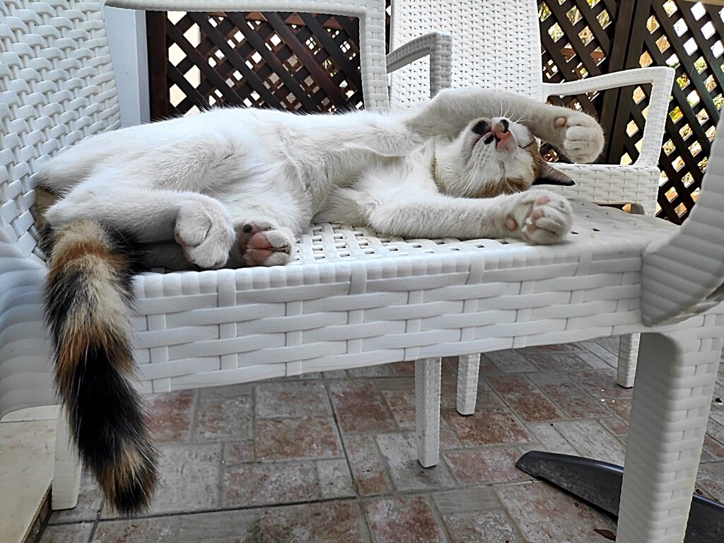 ВЕРХ   БЛАЖЕНСТВА - Анатолий Малобродский