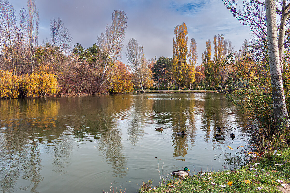 Утиное озеро - Юрий Яловенко