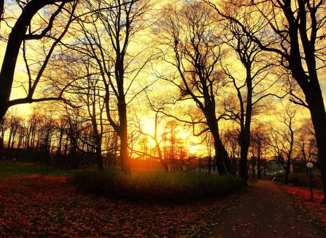 Ранний закат ноября - Aida10 