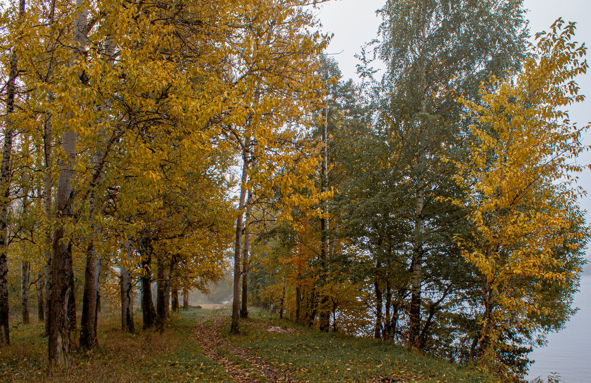 на берегу р,Волга - Владимир Зеленцов на берегу р,Волга - Владимир Зеленцов