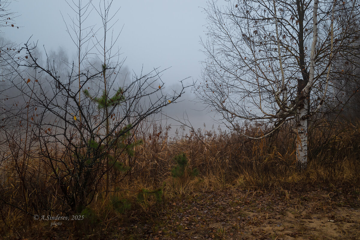 Туман на берегу - Александр Синдерёв