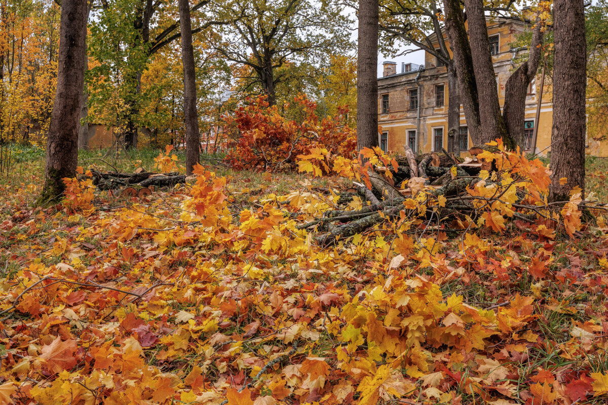 Про Питер - Владимир Колесников