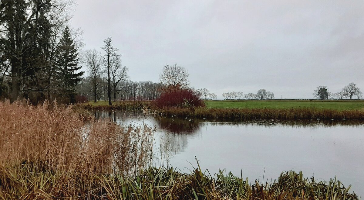 Парк Александрия - Наталья Герасимова