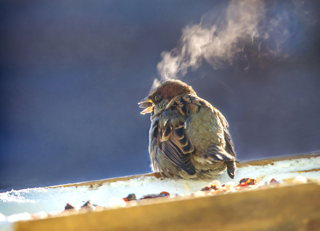 Горячий сибирский парень - Михаил Белоусов