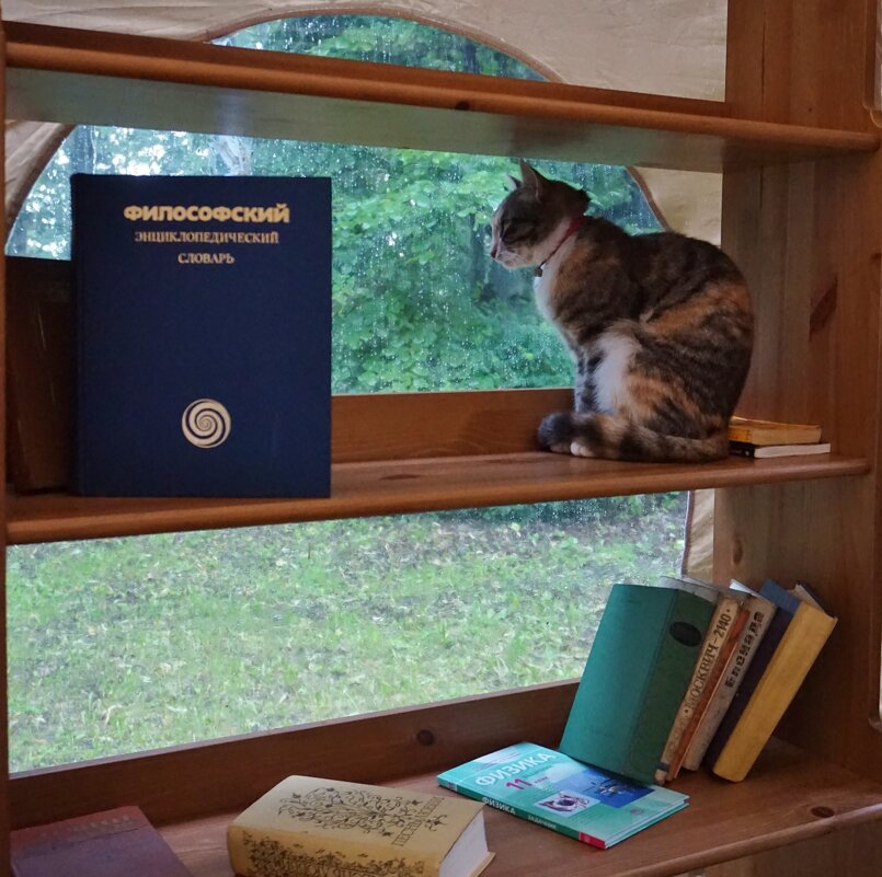 Посетитель библиотеки - Nataly St. 