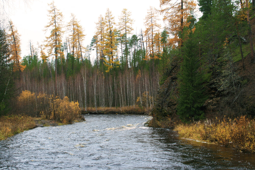 Осень на Мал. Сосьве - Галина Ильясова