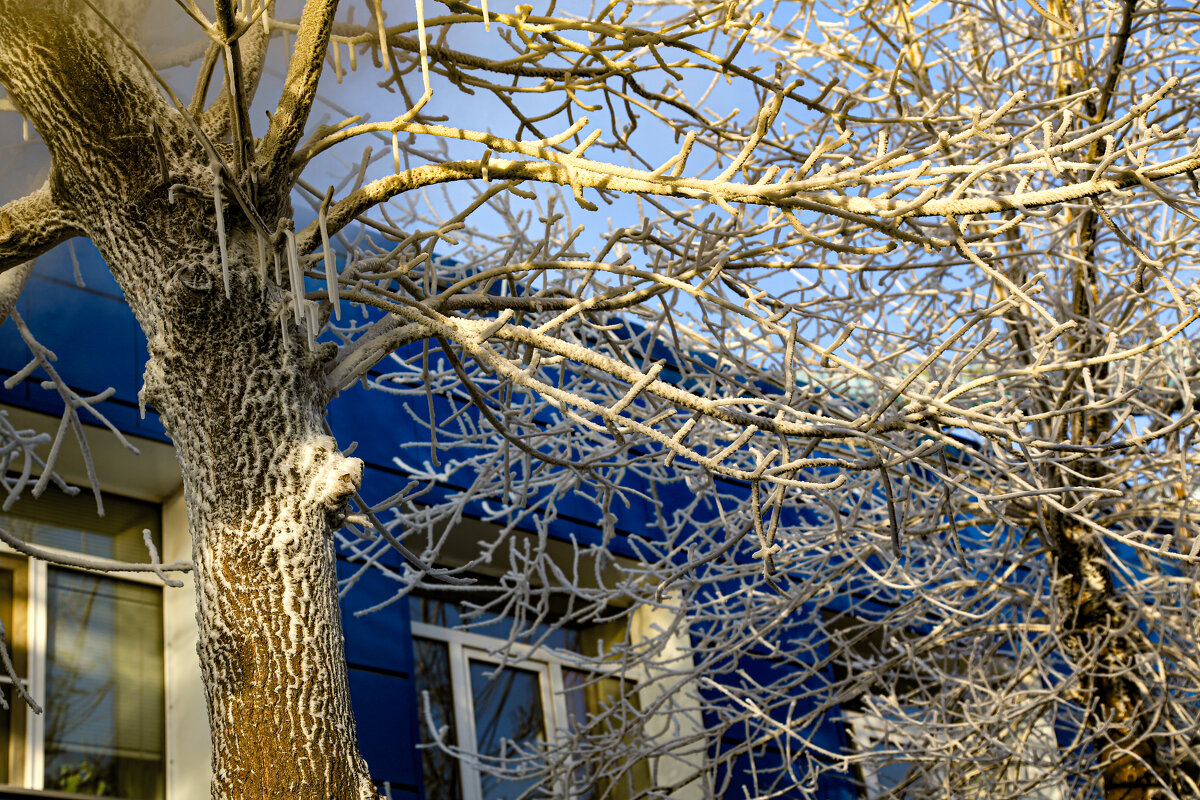 Мороз и солнце... - Александр Силинский Мороз и солнце... - Александр Силинский