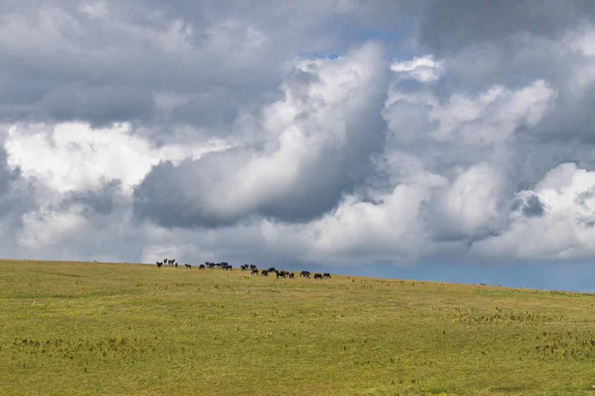Плато Лаго-Наки - Игорь Сикорский Плато Лаго-Наки - Игорь Сикорский