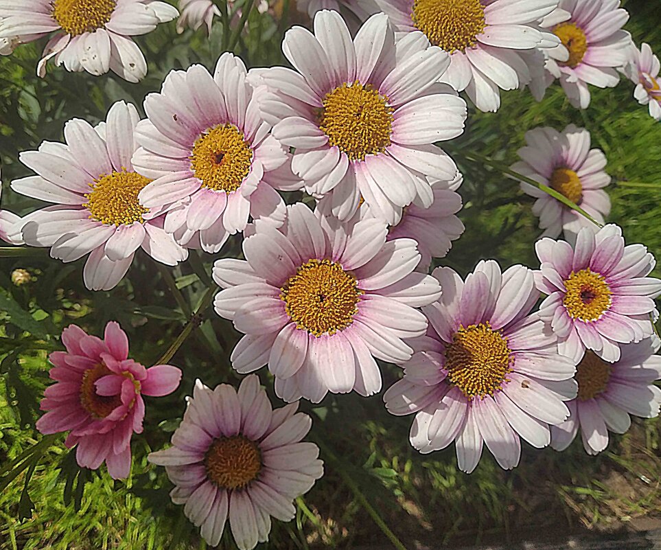 Это было летом.. - Елена Семигина