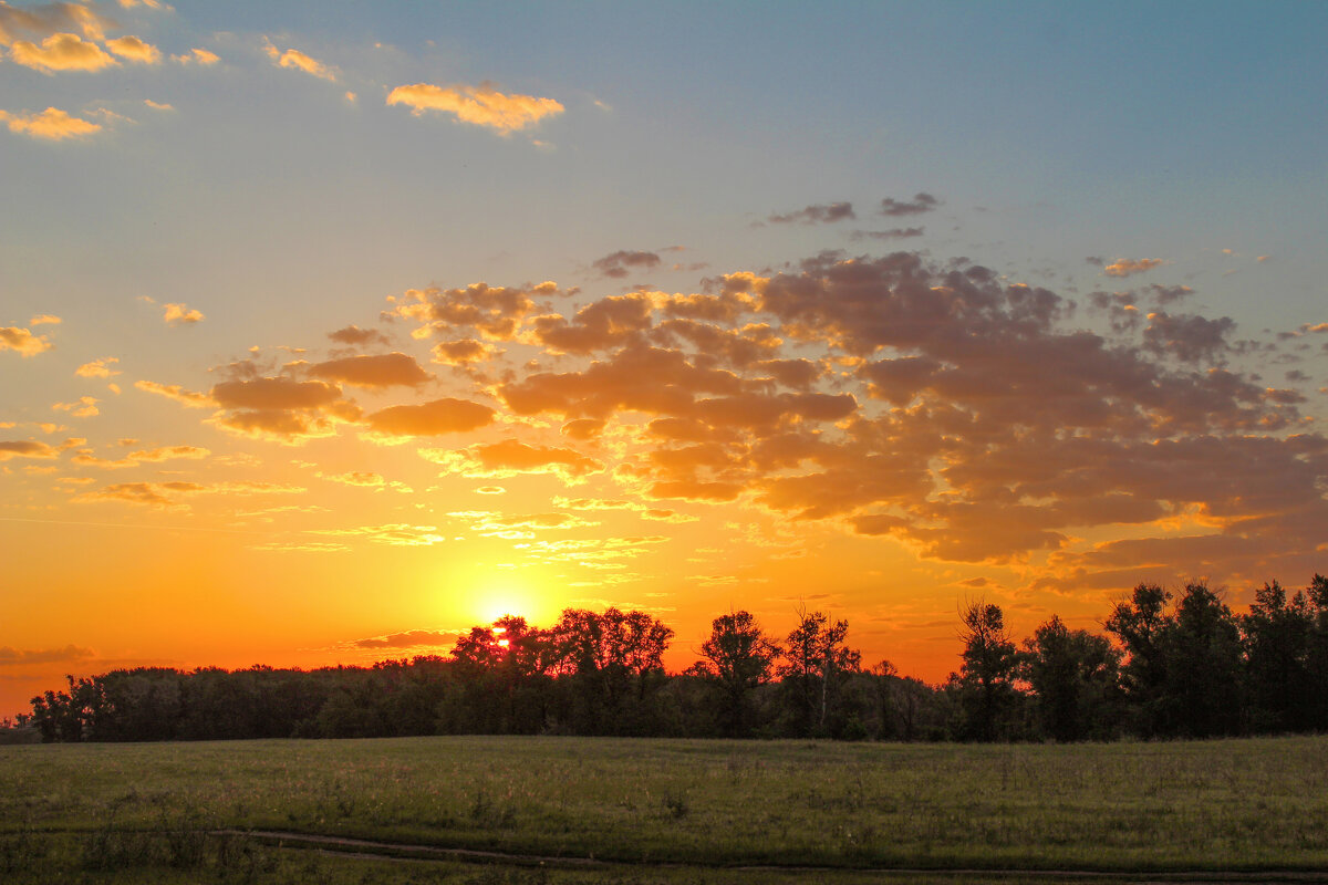 Утро. - Александр. AVG100 ---