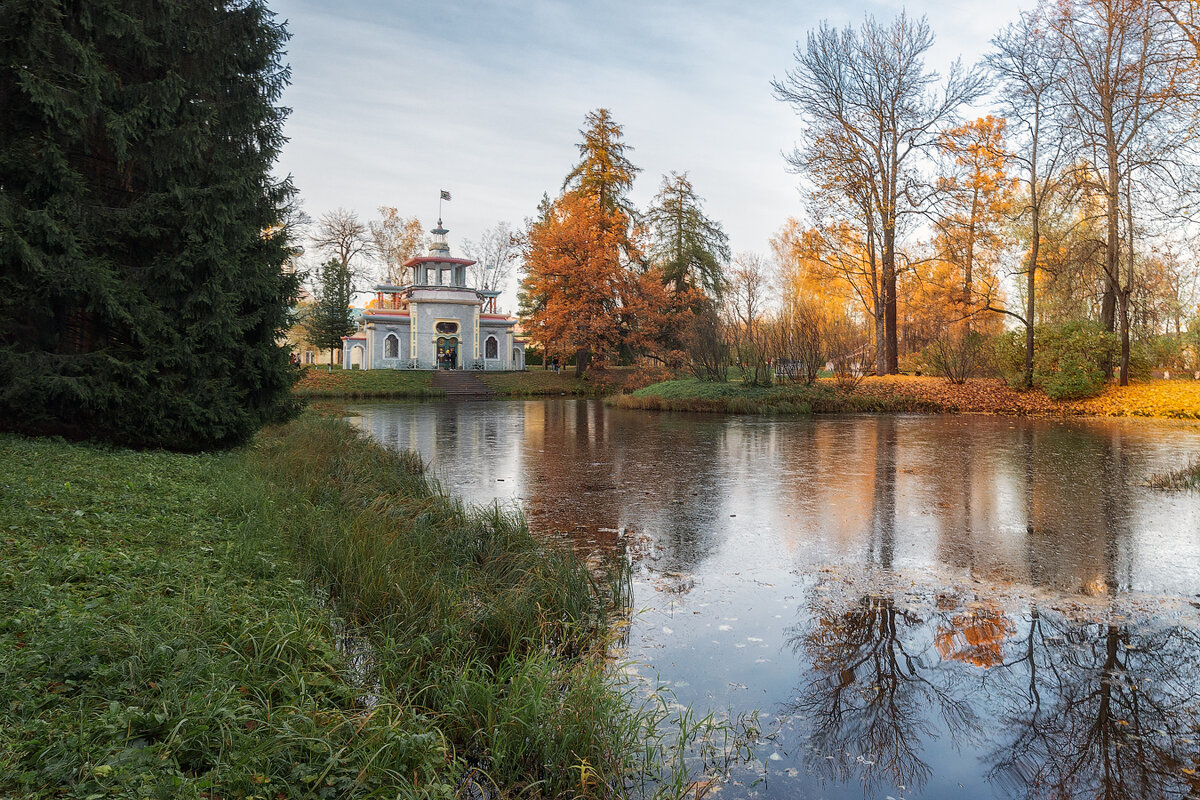 *** - Александр Кислицын