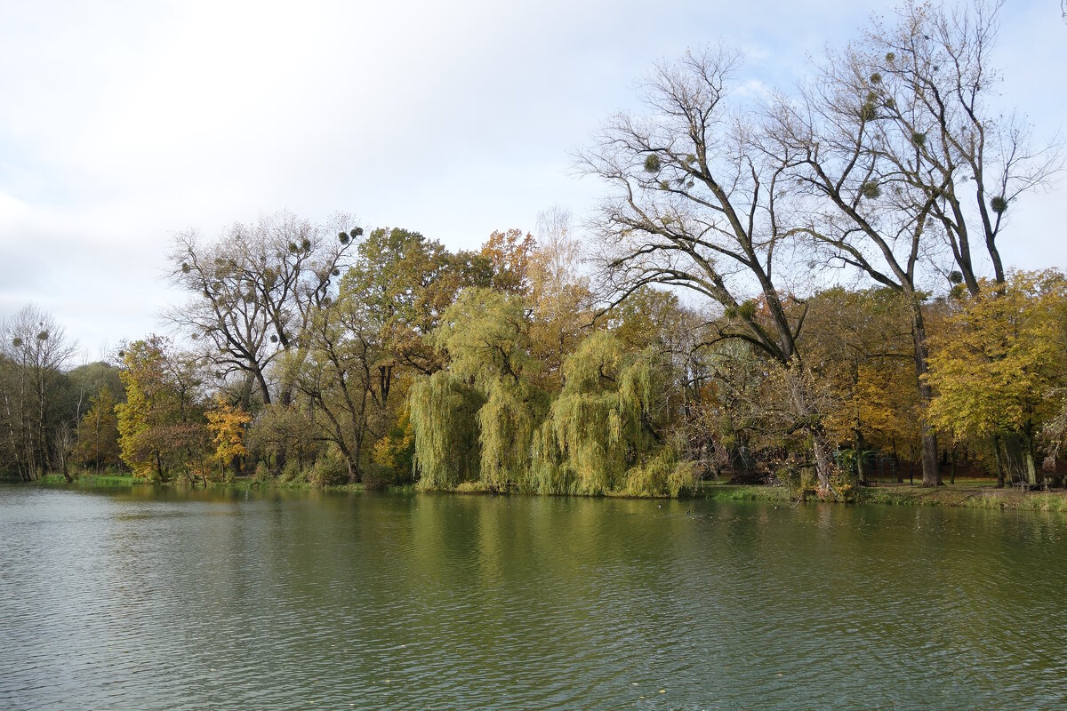 Картинки осени - Рита Симонова