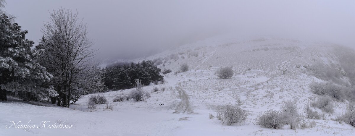 Природа Крыма - Amazing Cosmea