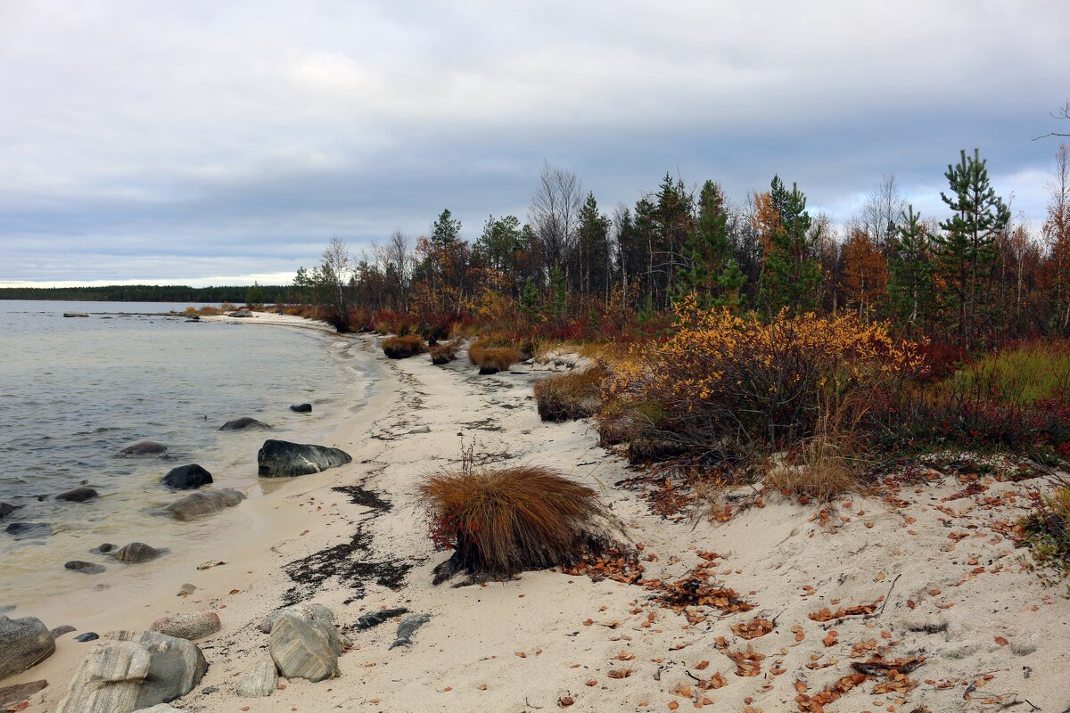 Ускользающая красота - Ольга 