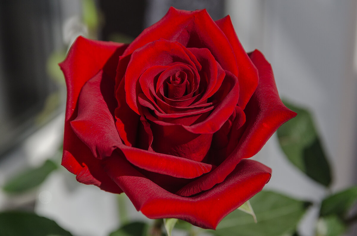 *** - Виктор Иванович Чернюк *** - Виктор Иванович Чернюк