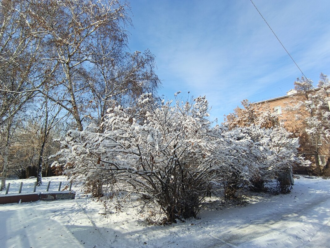 * - Редкий Гость