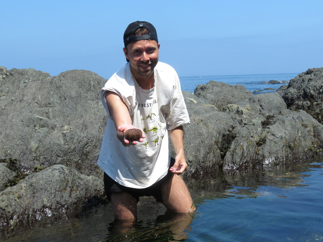 собиратель морских ежей - ИРЭН@ .