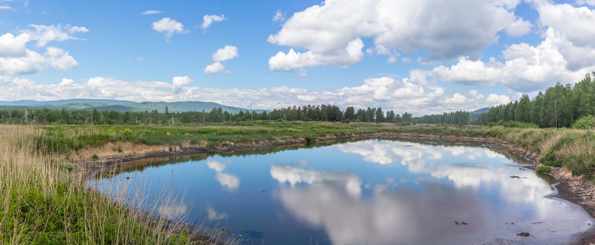 Летний полдень. Поля на очистных. г. Миасс, поселок Селянкино (панорама). - Алексей Трухин Летний полдень. Поля на очистных. г. Миасс, поселок Селянкино (панорама). - Алексей Трухин