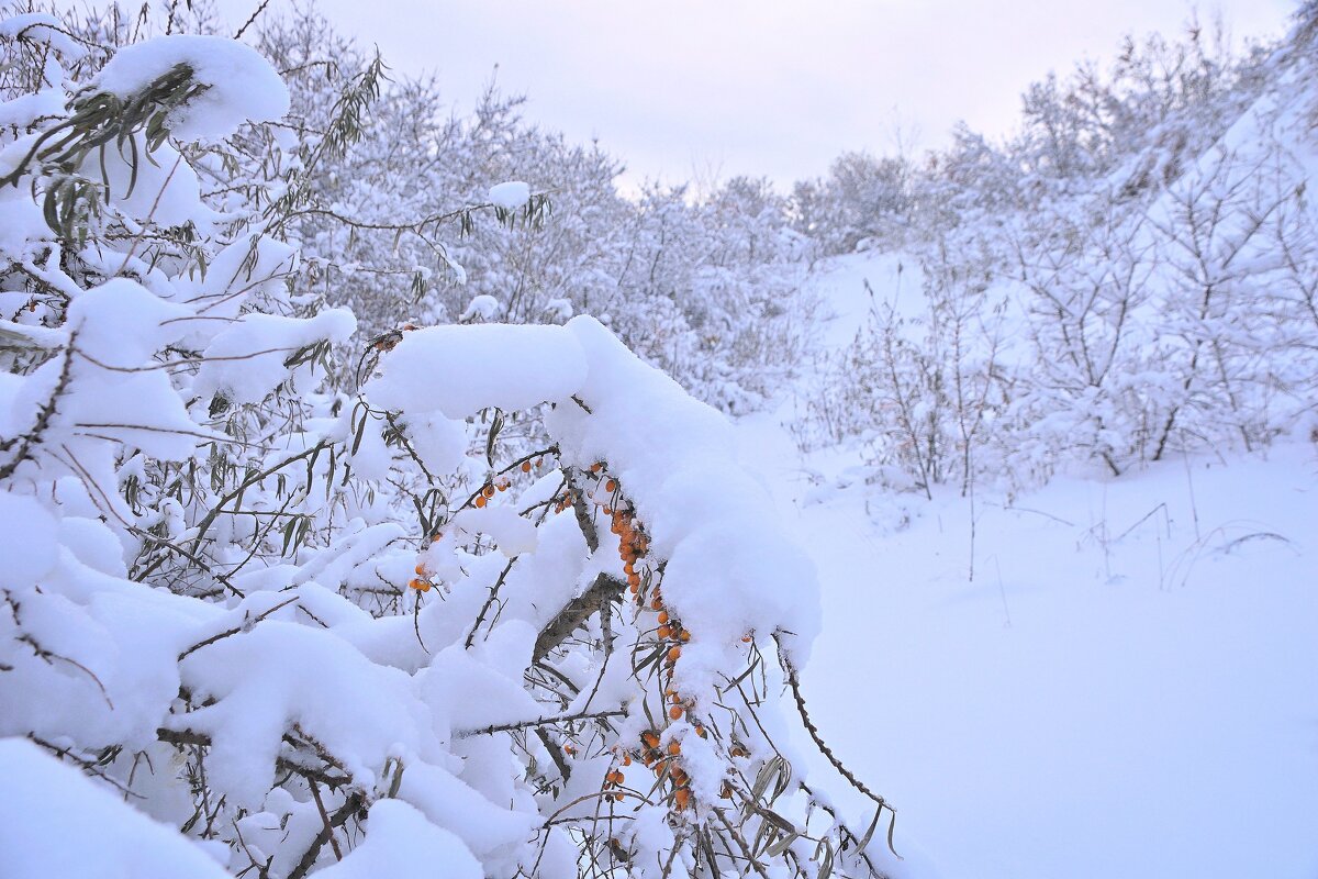 - - Владимир Мигонькин