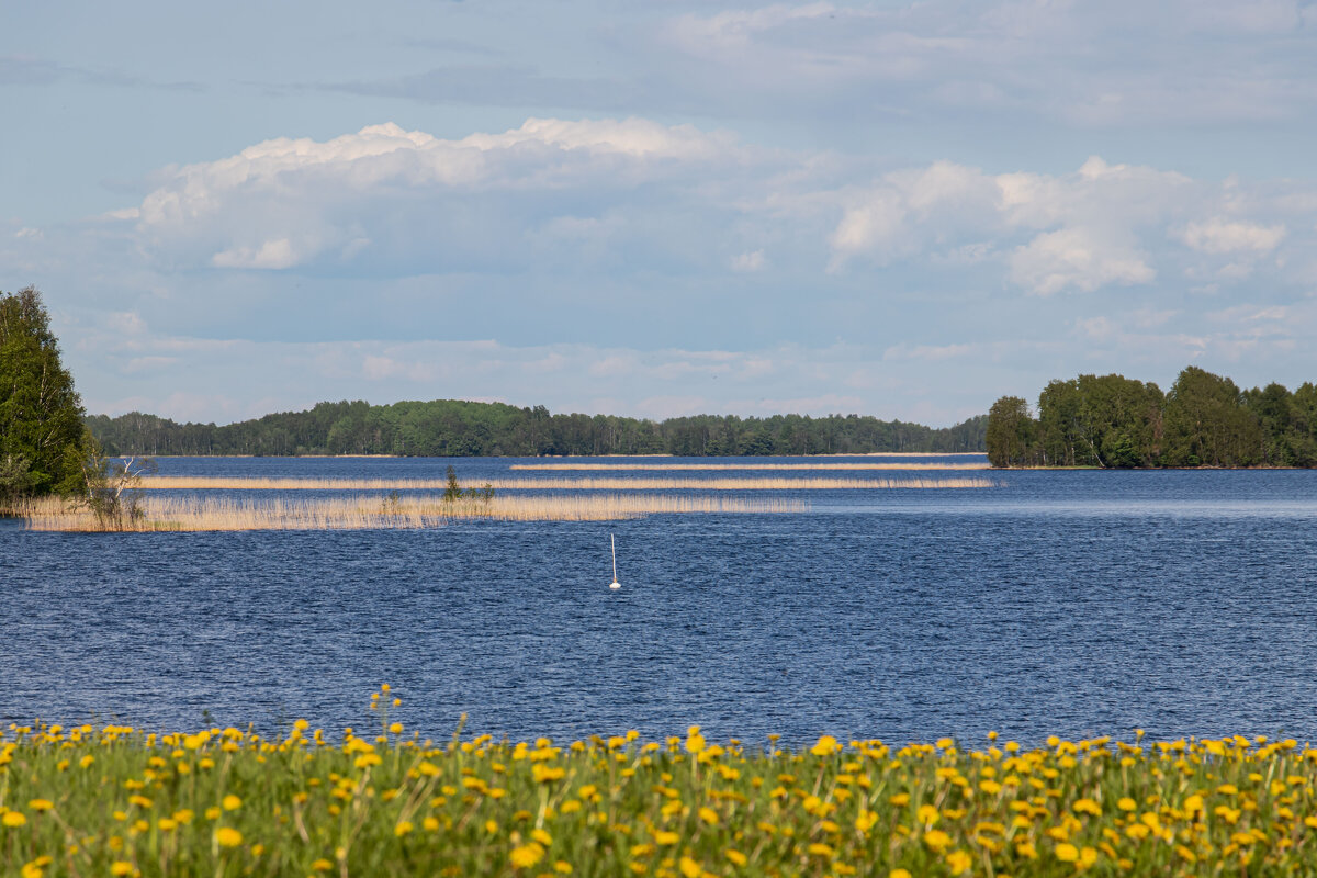 Кижи - navalon M