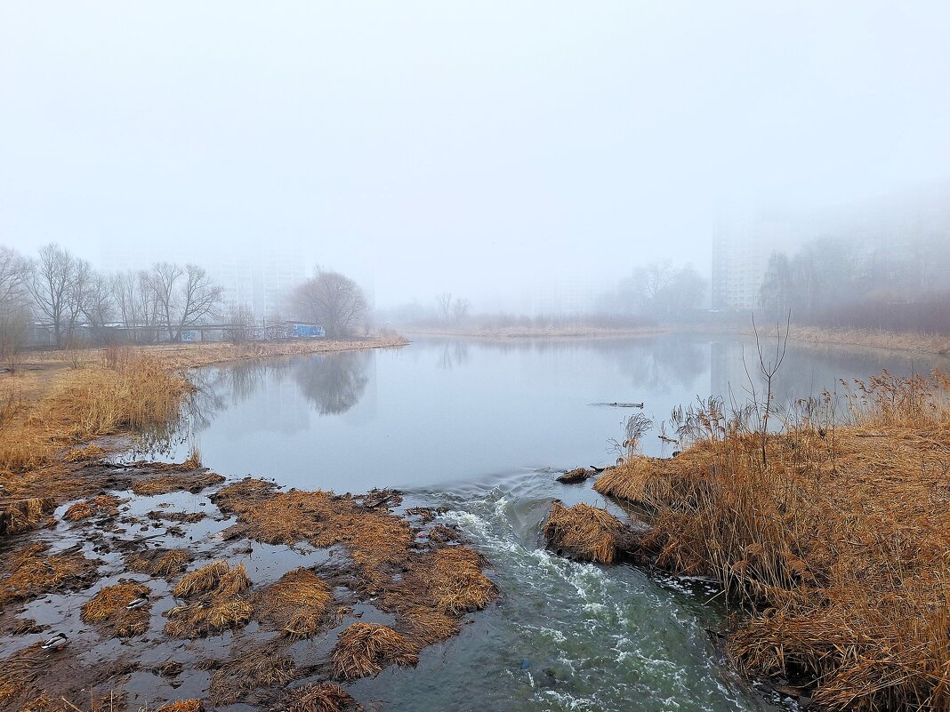Туман - Наталья 