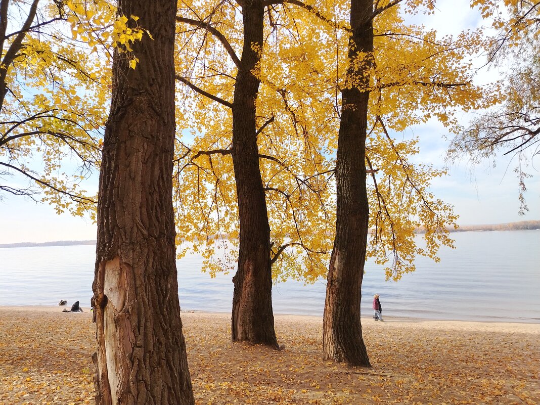 Три богатыря - Надежда 