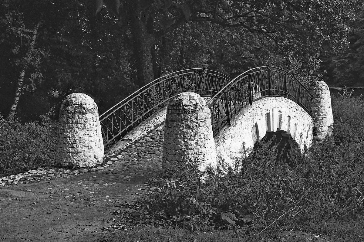 В Кузьминском парке - Игорь Белоногов