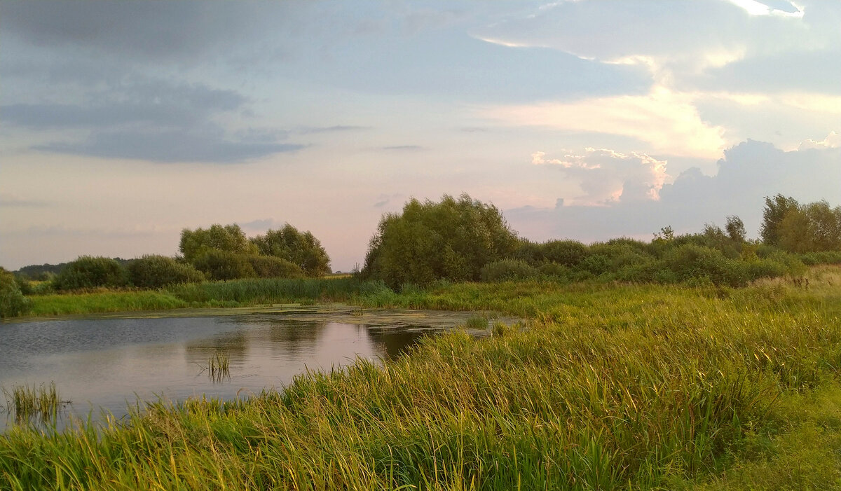 Вечер У озера. - Сергей Рожков