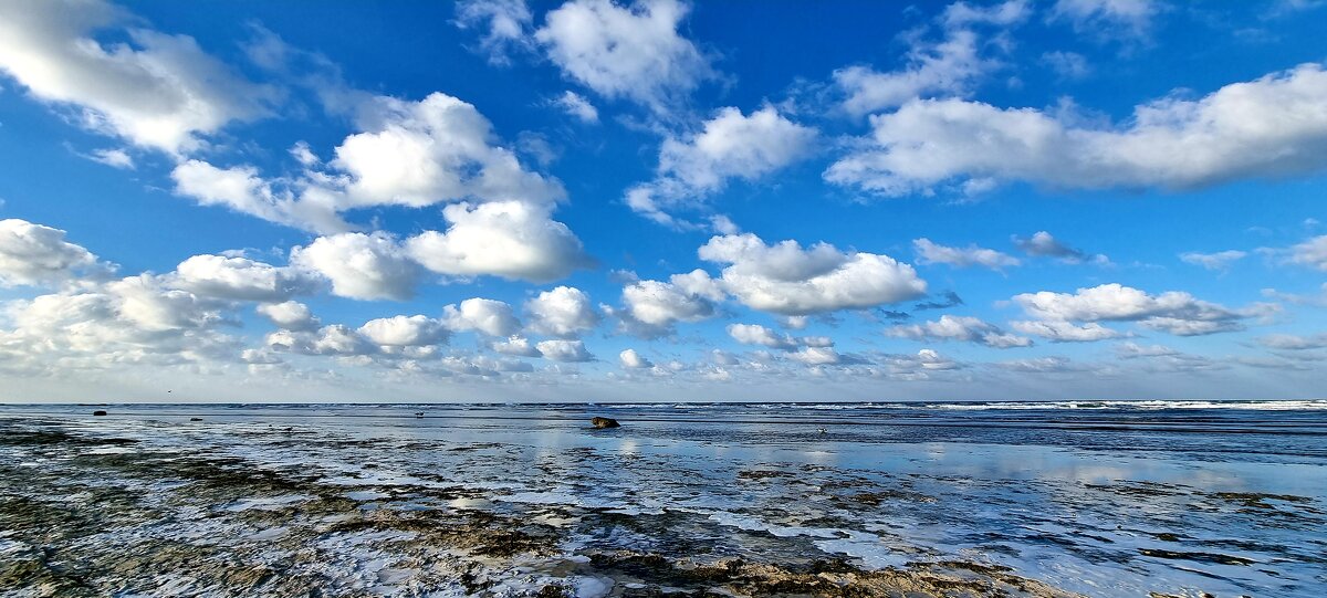 синее небо - Ольга Косачова