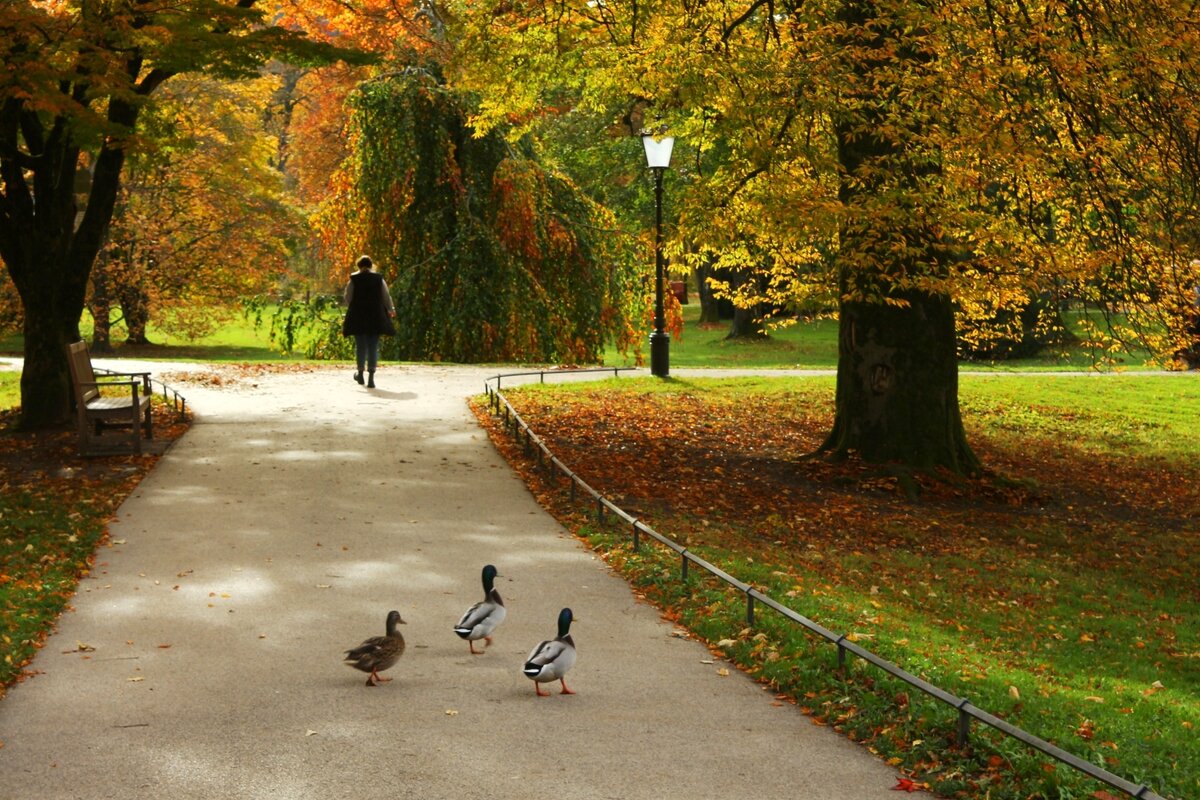 Прогулка по Лихтенталер аллее - Юрий. Шмаков Прогулка по Лихтенталер аллее - Юрий. Шмаков