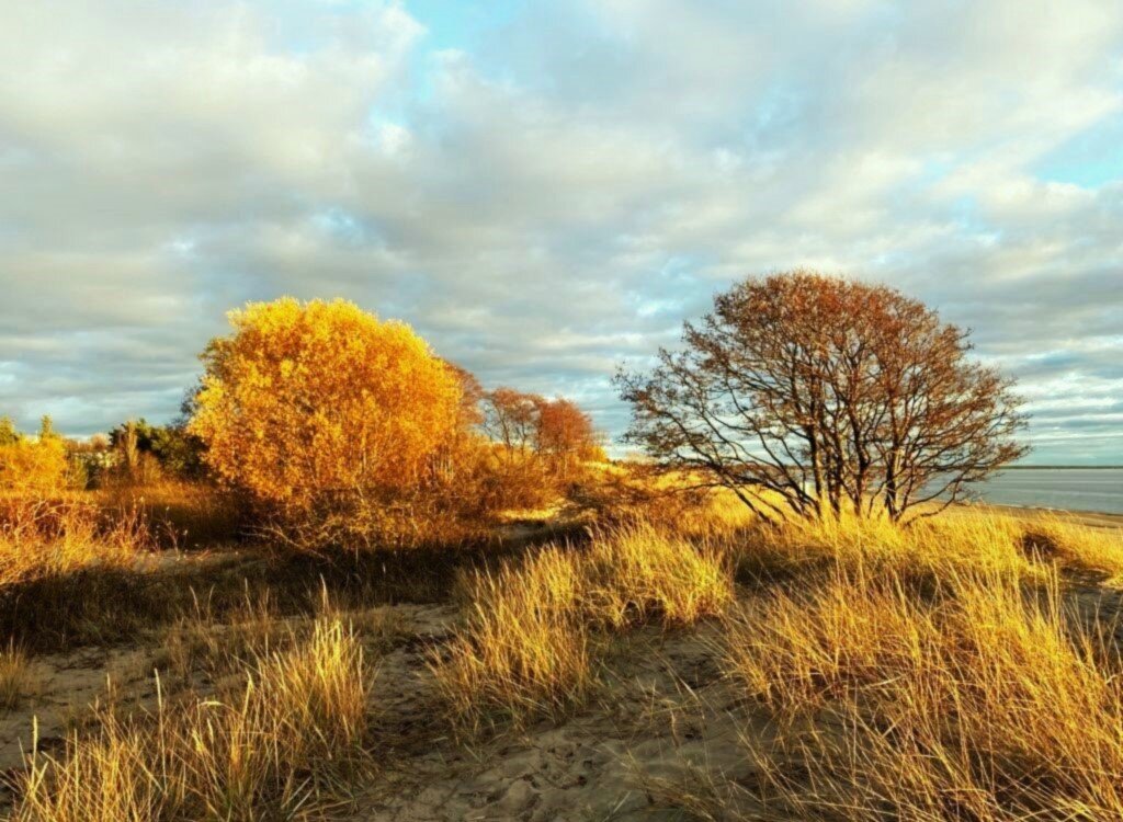 Балтийский берег - Aida10 