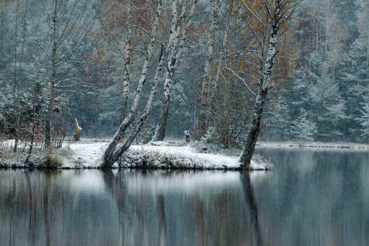 Первый снег............ - Юрий Цыплятников