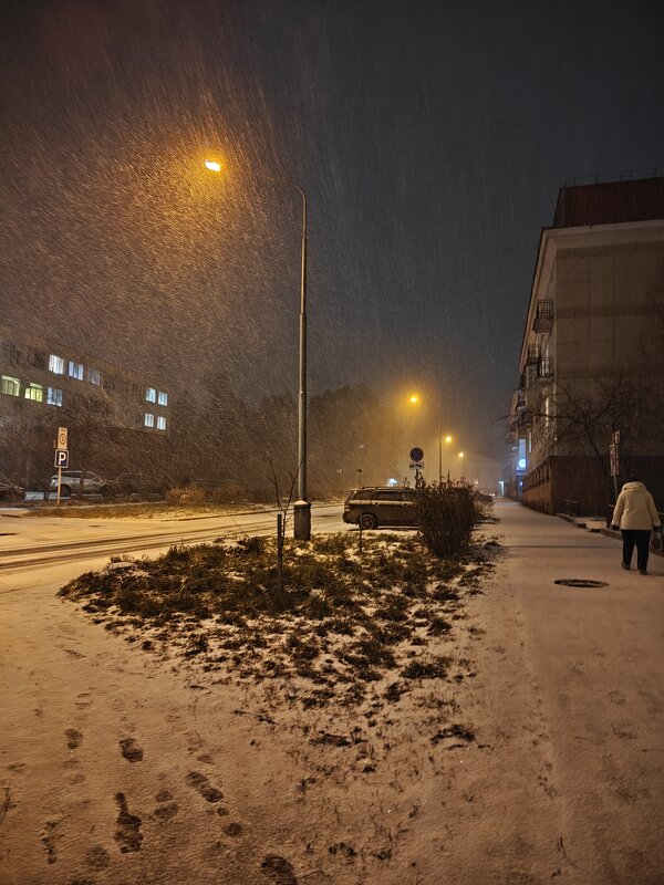 Снег идёт - Владилен Панченко