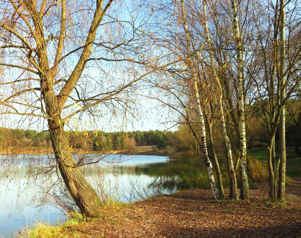 Осенний берег озера - Андрей Снегерёв