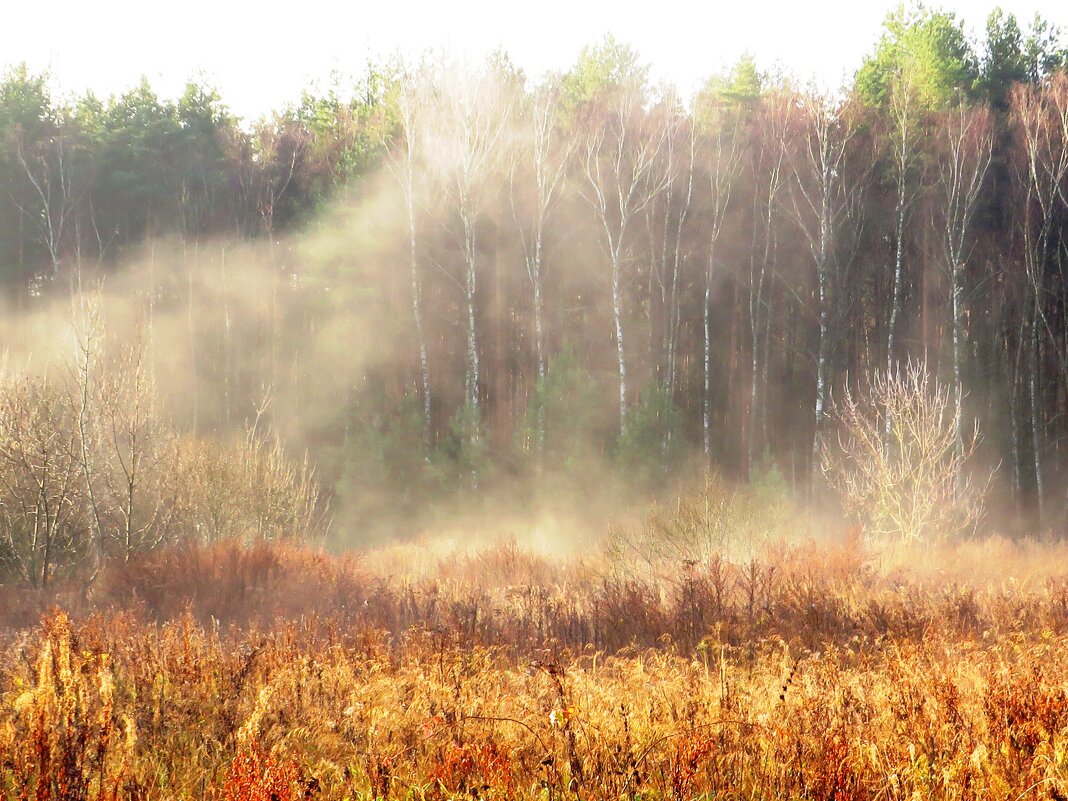 Клубящийся туман - Андрей Снегерёв