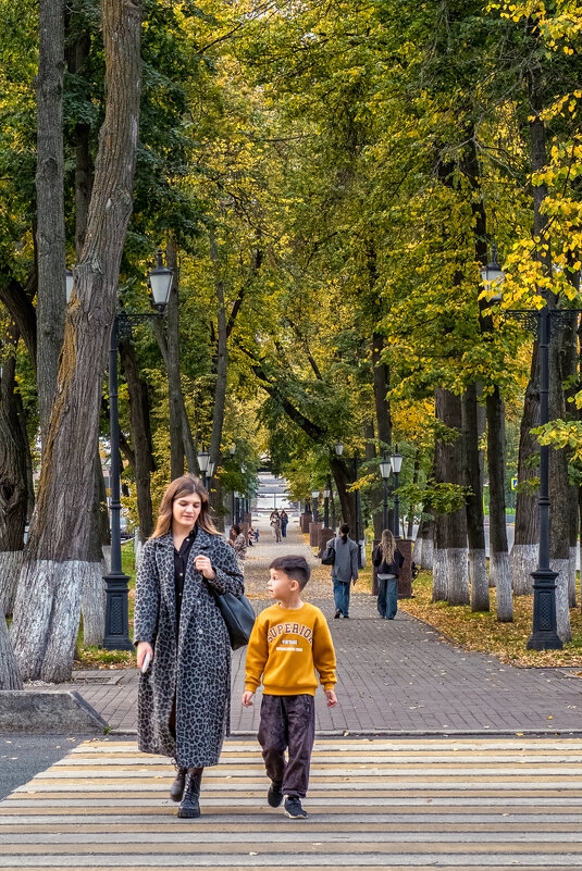 На тихо аллее... - Сергей Шатохин На тихо аллее... - Сергей Шатохин