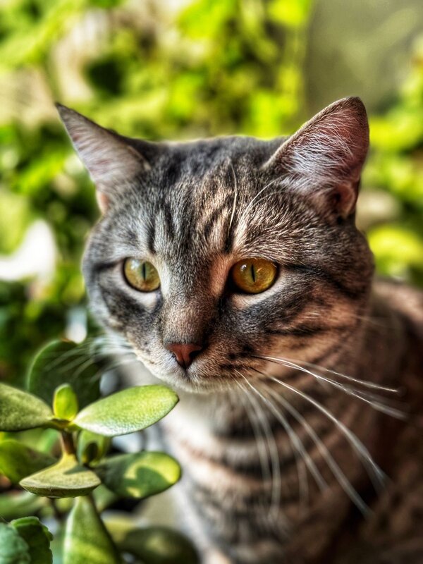 Тимофей - Яна Горбунова