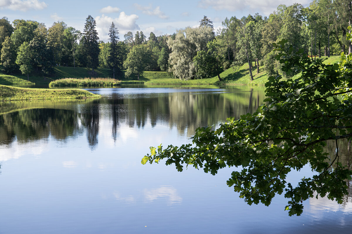 Пруд - Валерий Пославский