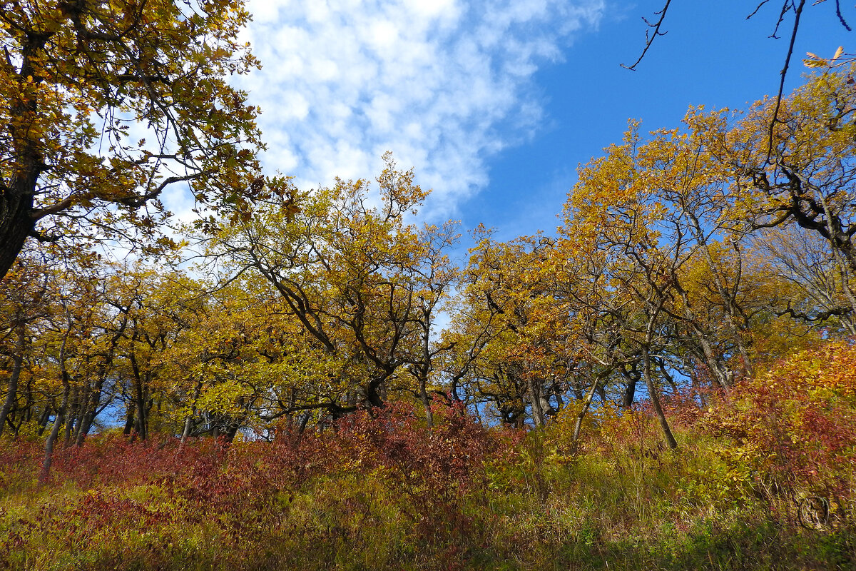 осень - Юрий Словецкий
