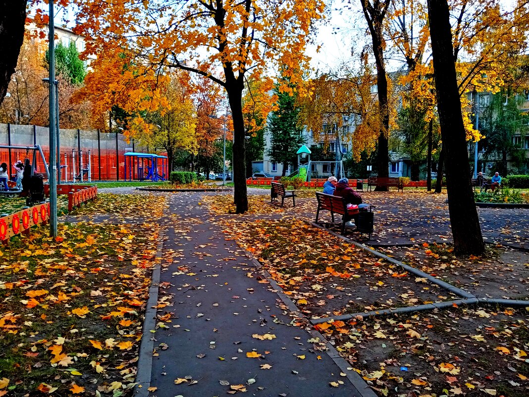 Осень - Владимир Драгунский Осень - Владимир Драгунский