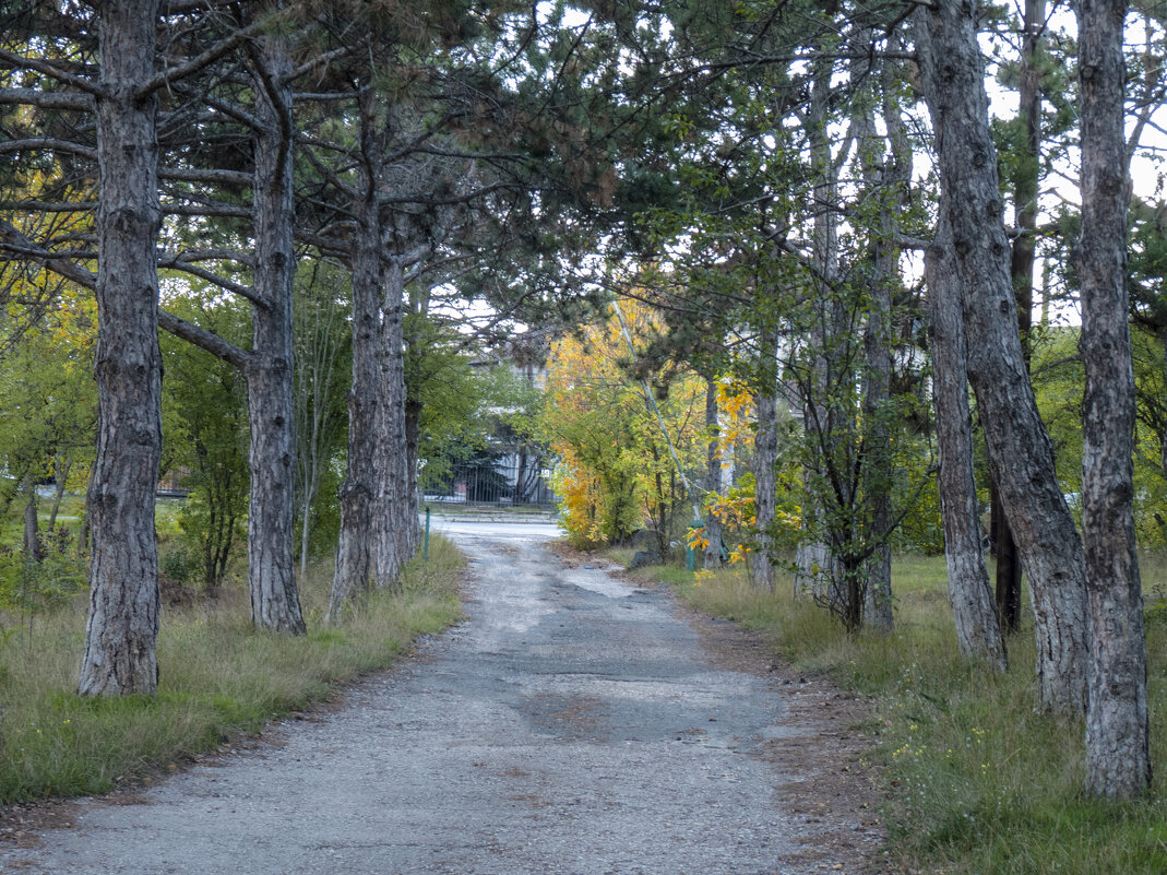 Природа  Крыма - Валентин Семчишин